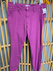 PANT-2X