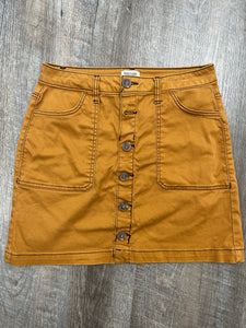 SKIRT-8