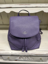 Load image into Gallery viewer, BACKPACK retails $378
