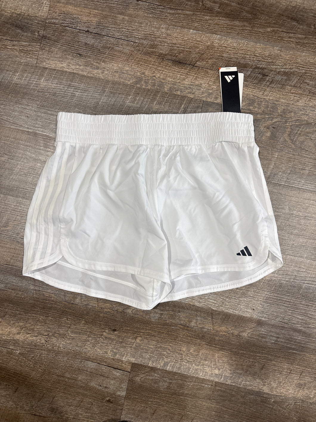 NEW! SHORTS - XL