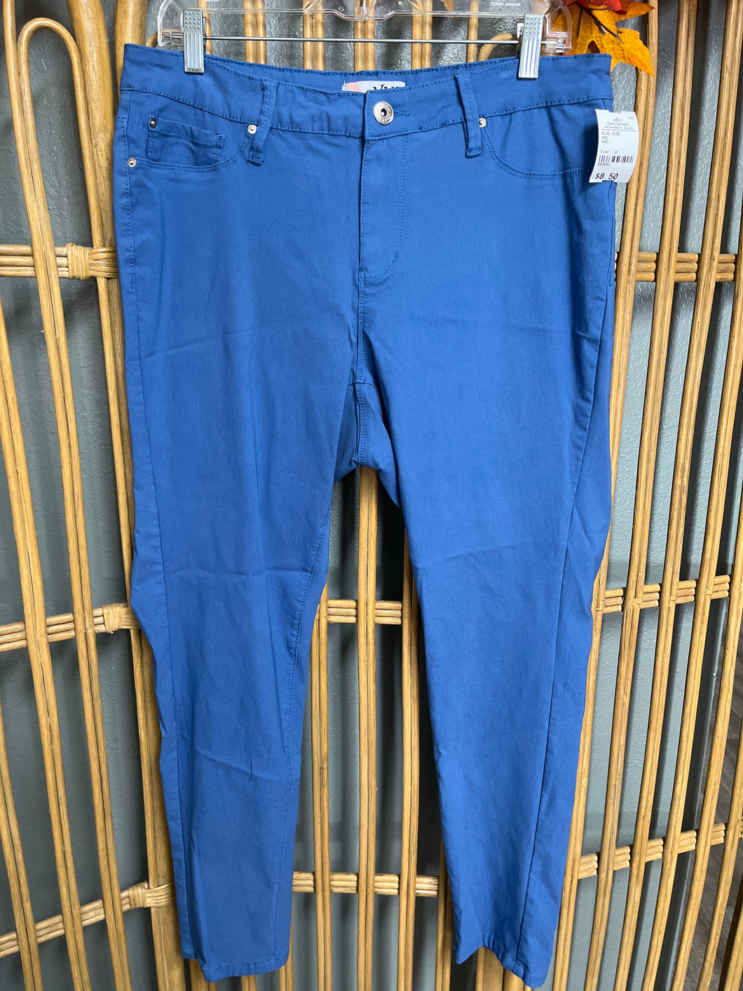 PANT-2X