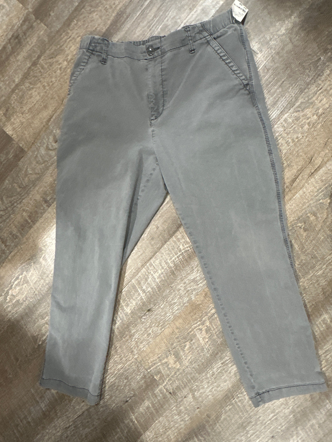 PANT-L