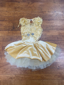 DANCE COSTUME-1C