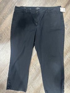 PANT-12