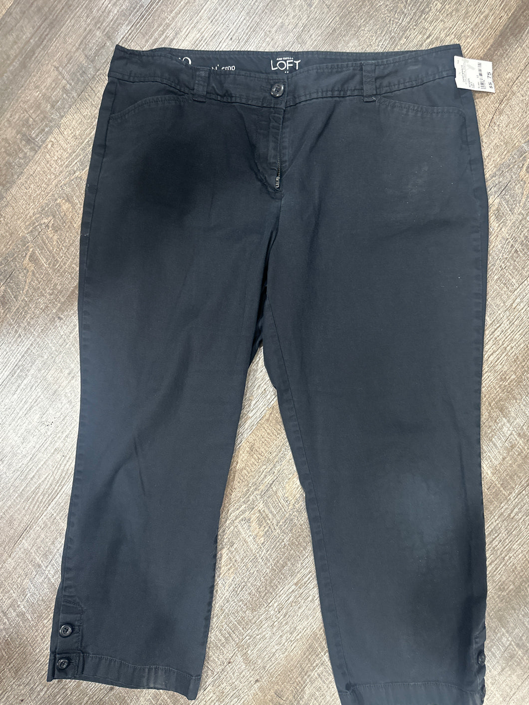 PANT-12