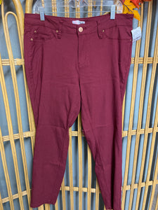 PANT-2X