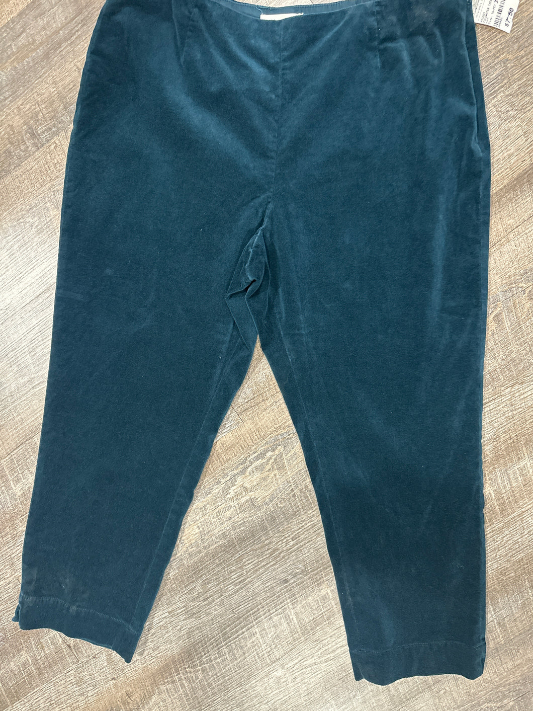 pant-16