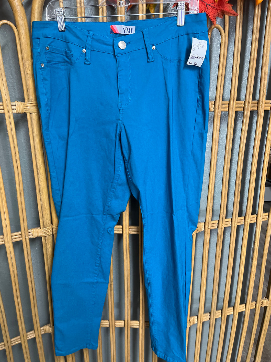 PANT-2X