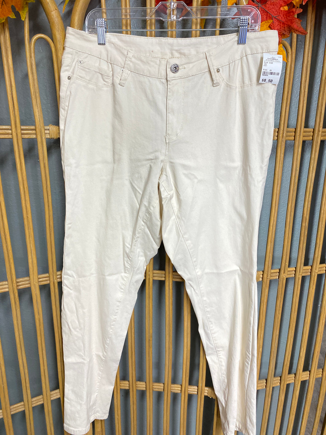 PANT-2X