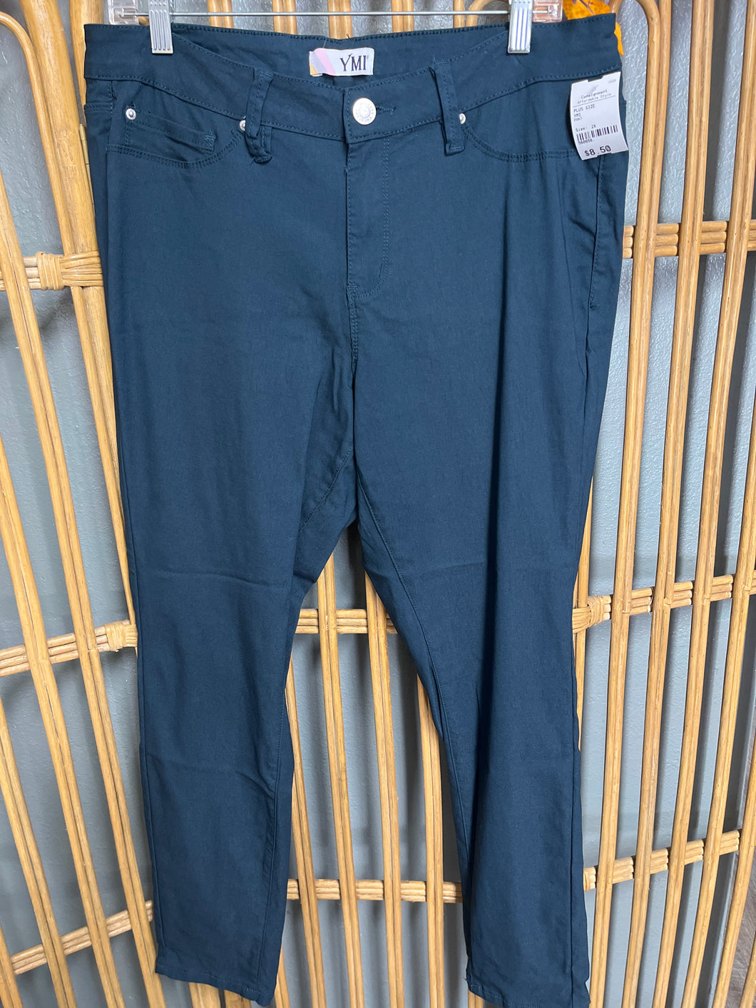 PANT-2X