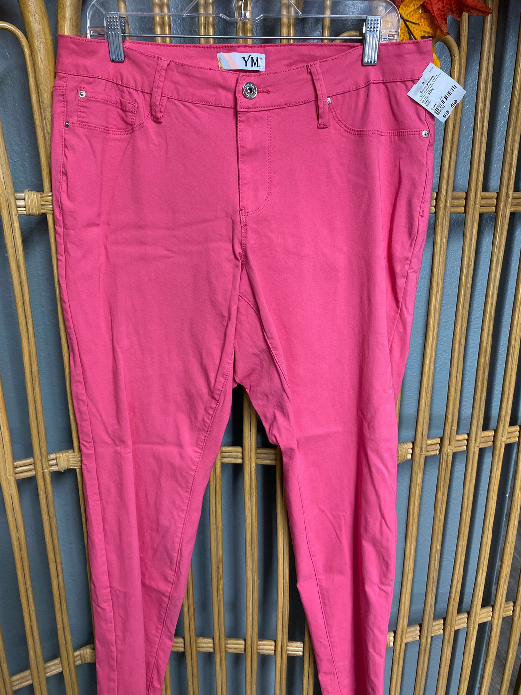 PANT-2X