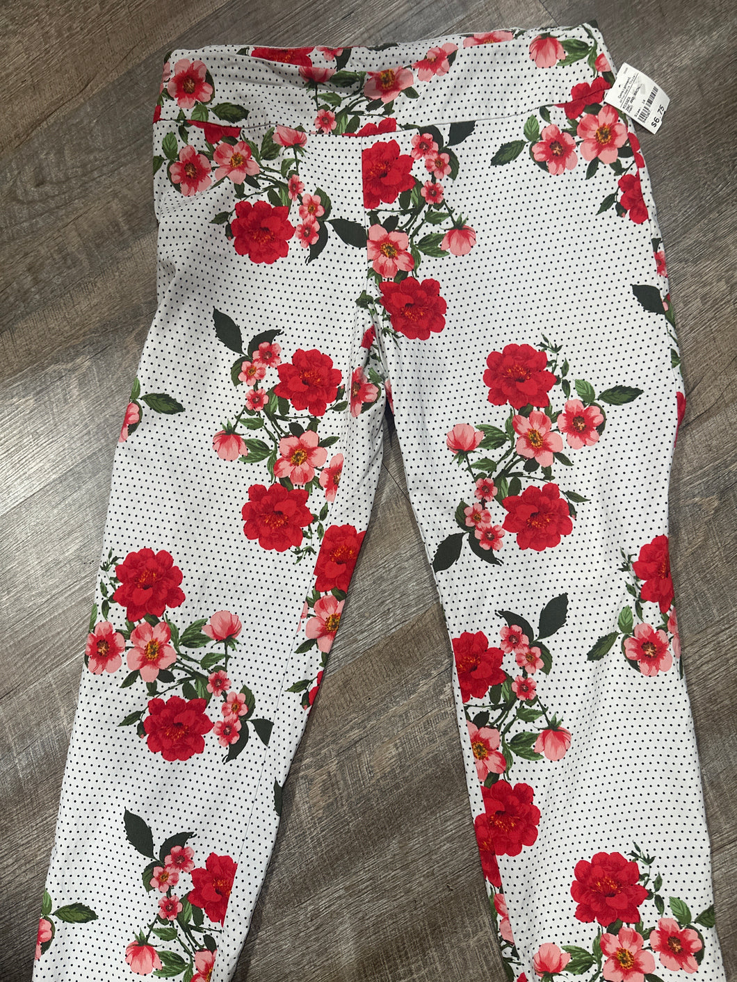 PANT-14
