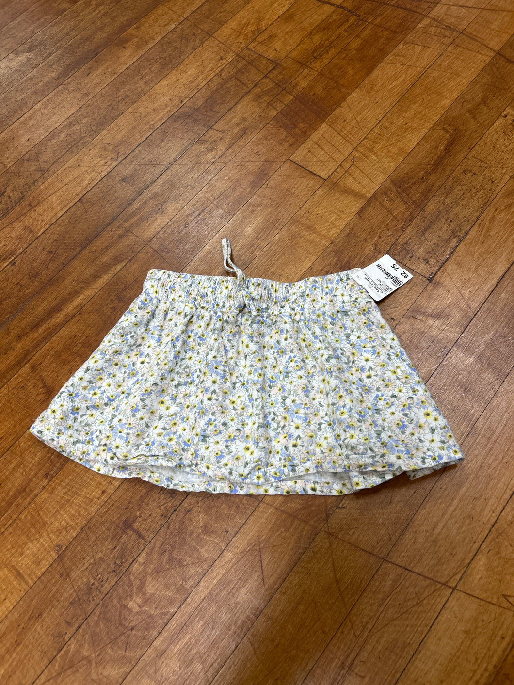 SKIRT-2T