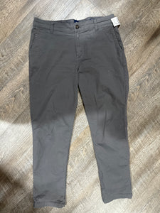 PANT-8