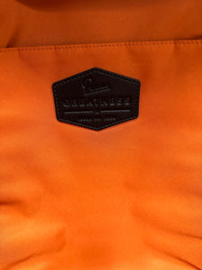 Fossil backpack